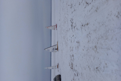 1_20210216_104933