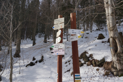 DSC04931