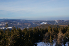 DSC05004