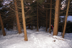 DSC05059