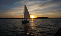DSC04194