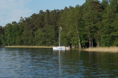 DSC04118