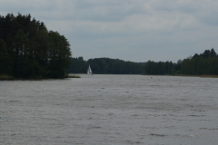 DSC04211