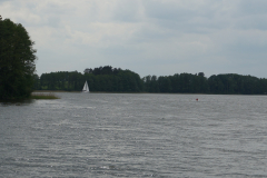 DSC04213