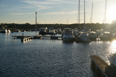 DSC04276