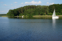 DSC03169
