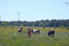 P6050230