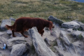 oimage00013