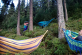 oimage00021
