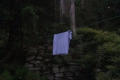 oimage00043
