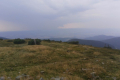 oimage00046