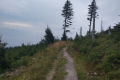 zimage00003