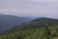 zimage00004