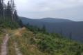 zimage00005