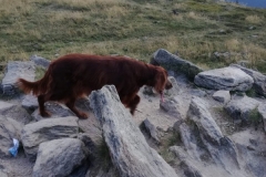 oimage00013