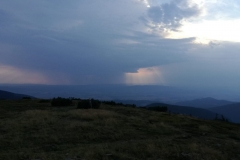 oimage00018