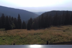 oimage00049