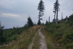 zimage00003