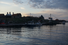 DSC05329