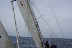 DSC05347