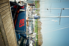 IMG-20250506-WA0014