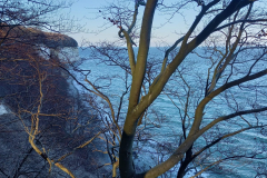 WhatsApp-Image-2023-04-12-at-12.12.53