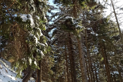 received_159622515513321