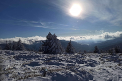 received_184748516682961