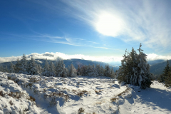 received_201571611626343