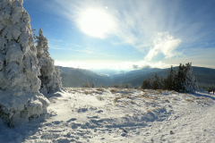 received_255703169235996