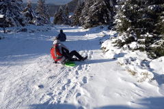 received_3517060265088877