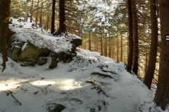 received_399997967934409