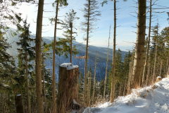 received_423590288789785