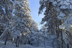 received_431105328017576