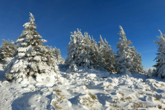 received_731138987835066