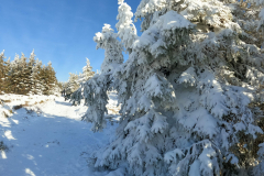 received_872744860122871