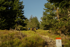 DSC01509