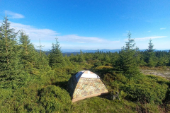 366939208_1017205226140606_4063429479648154727_n