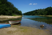 DSC03610