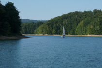 DSC03620