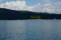 DSC03648