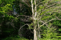 DSC06646