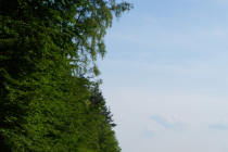 DSC06648