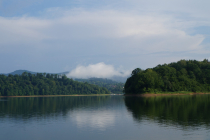 DSC06910