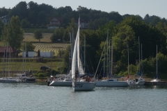 DSC03614