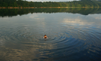 DSC04341