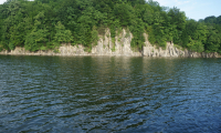 DSC04384