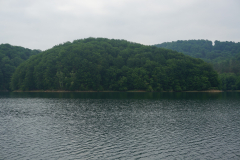 DSC04503
