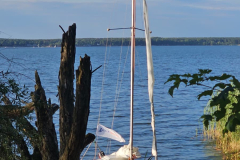 Zdjecie-WhatsApp-2025-11-13-o-15.53.28_744543e4