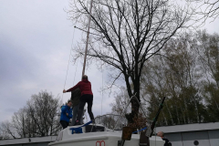 received_610068022738322_resized_20190423_021819013